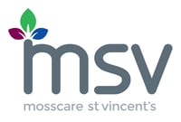 MSV logo