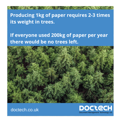 Paper use and tree use