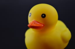 Sitting duck, preventing data loss