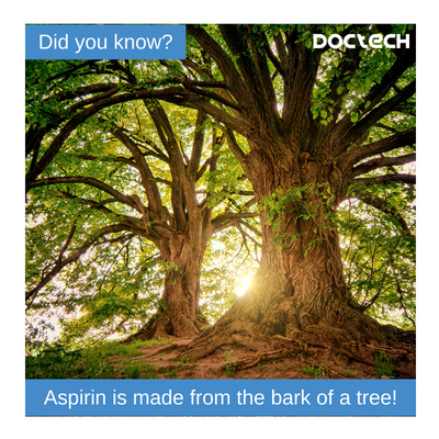Trees and making medicine
