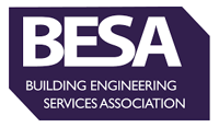 BESA_improving audits