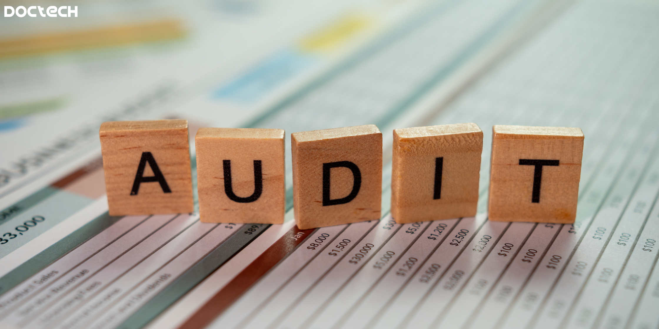 How DMS Simplifies Audit Processes